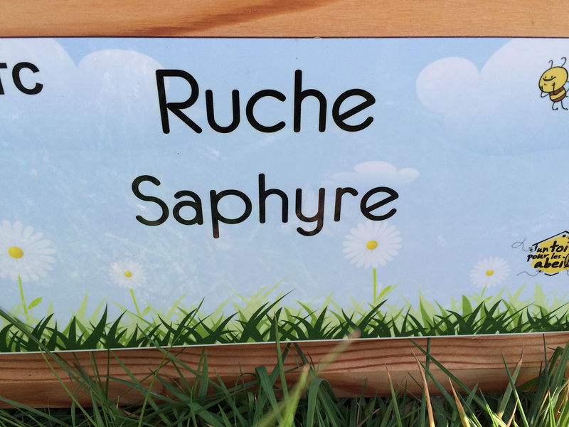 La ruche