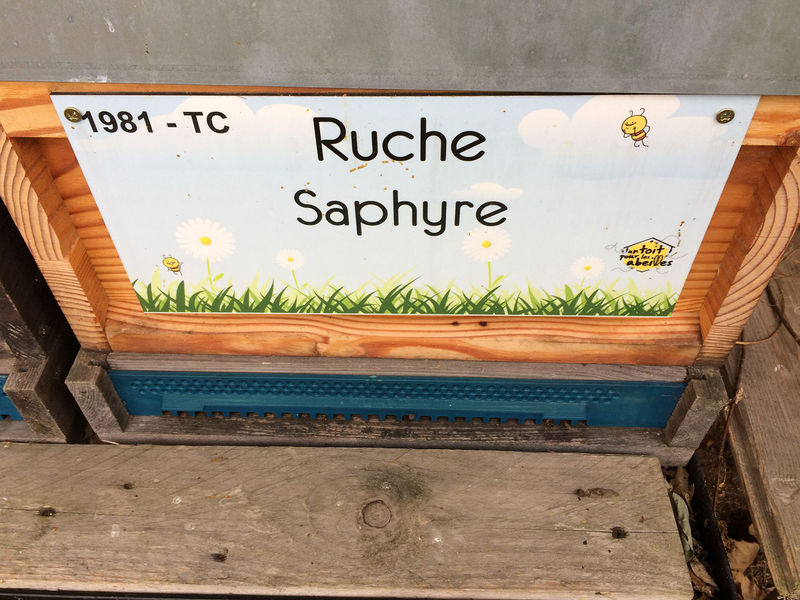 La ruche Saphyre