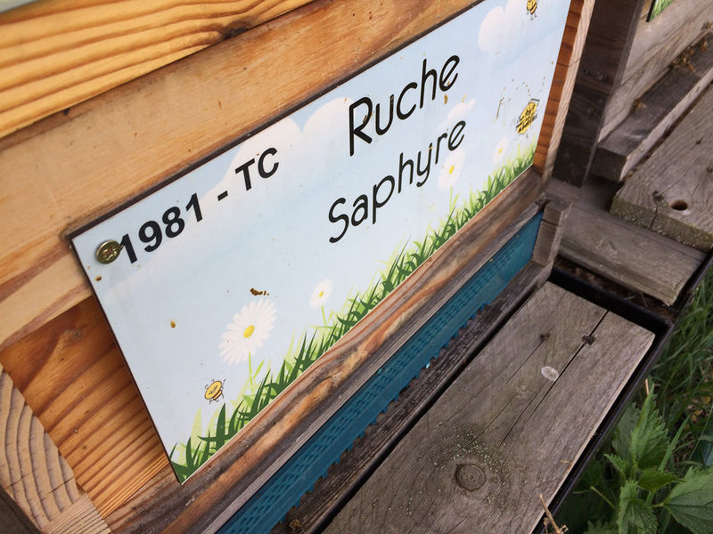 La ruche Saphyre