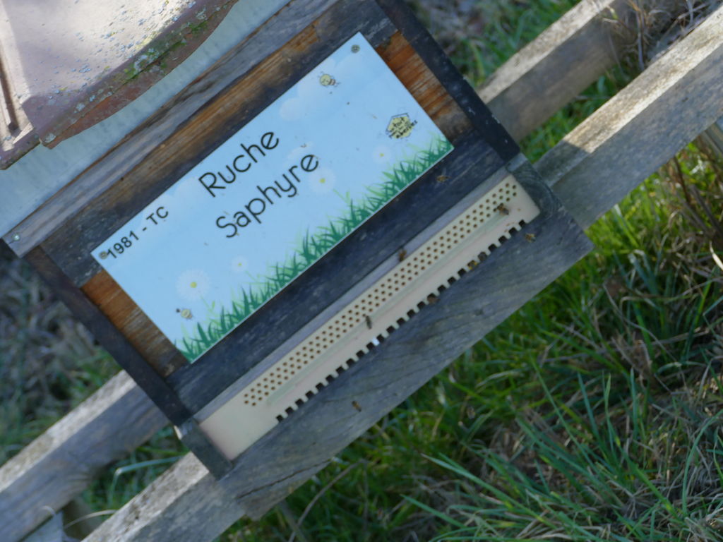La ruche Saphyre