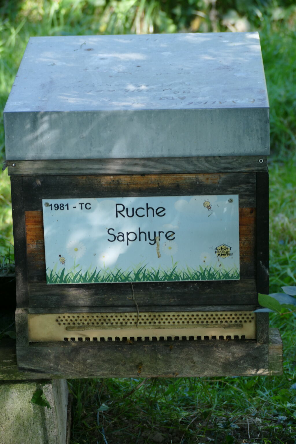 La ruche Saphyre