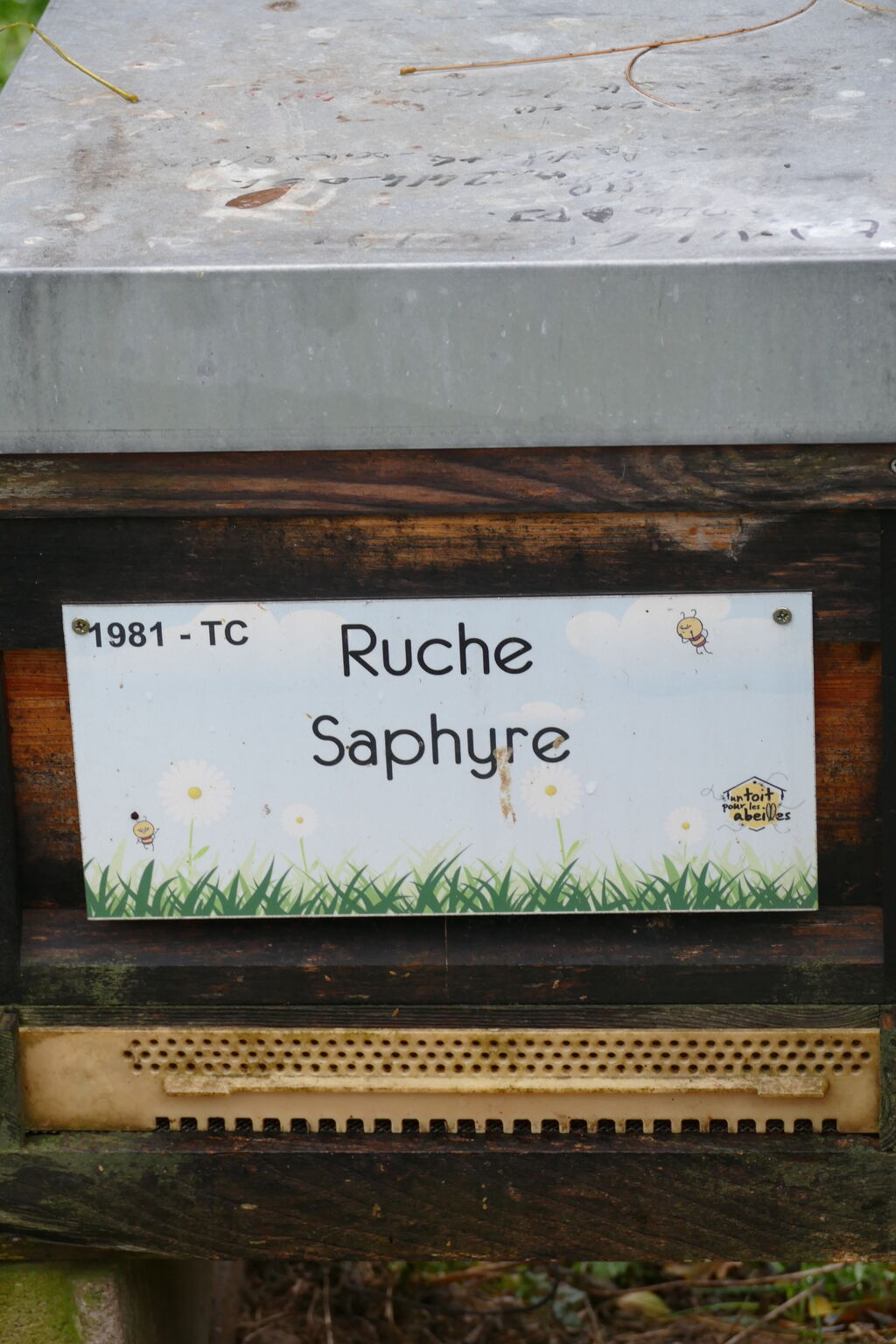 La ruche Saphyre