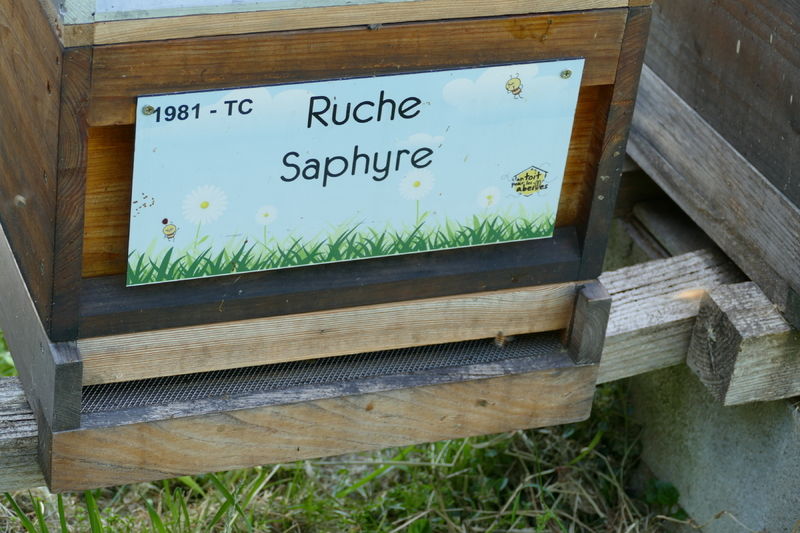 La ruche Saphyre