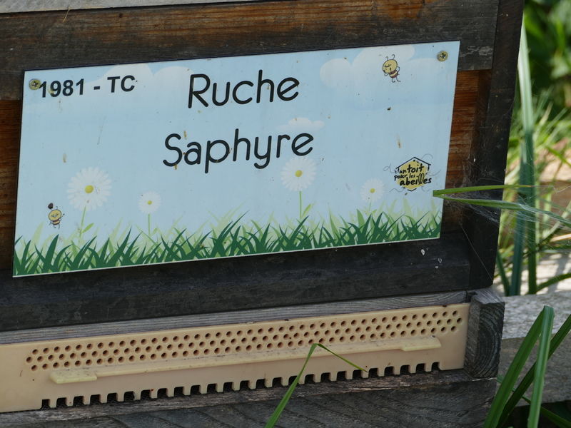La ruche Saphyre