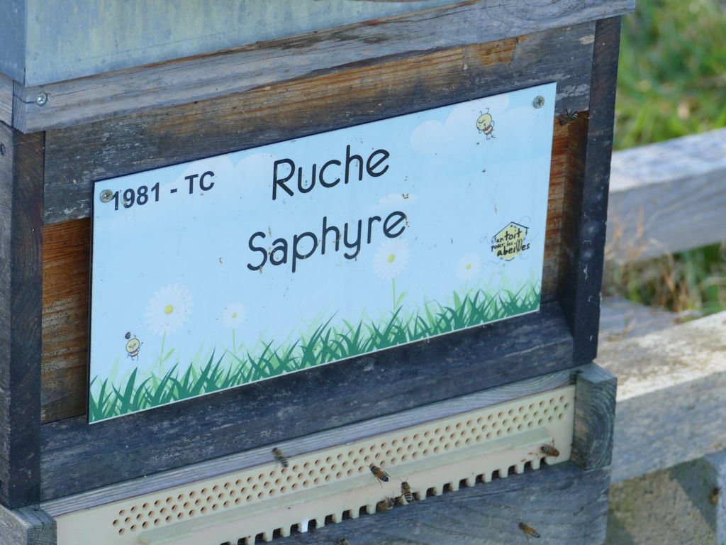 La ruche Saphyre