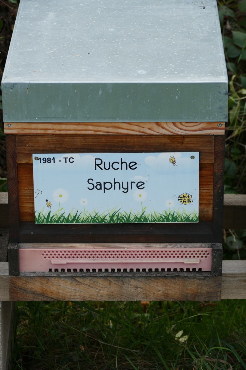 La ruche Saphyre