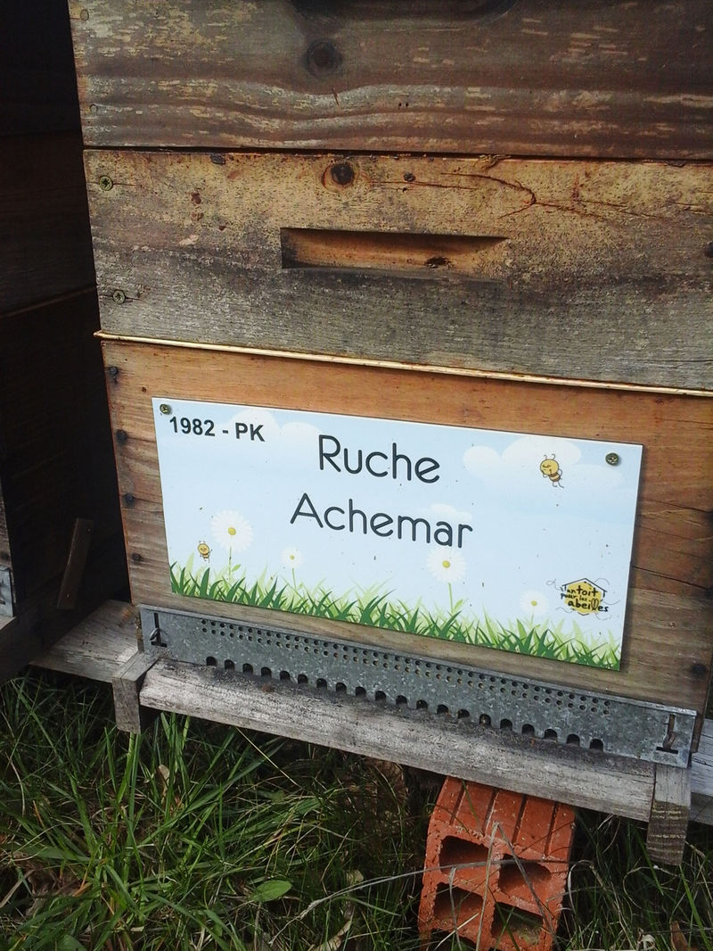 La ruche