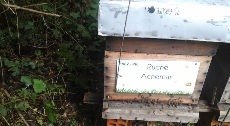 La ruche Achemar