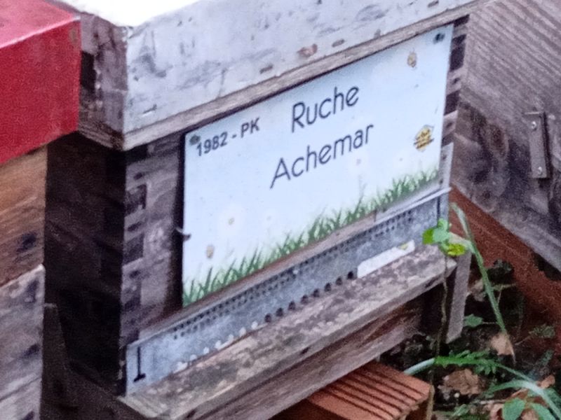 La ruche Achemar