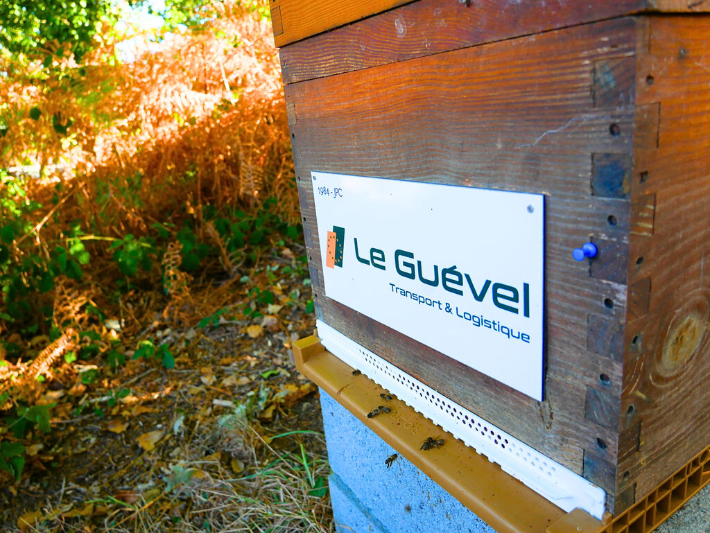 La ruche Astre - Le Guevel