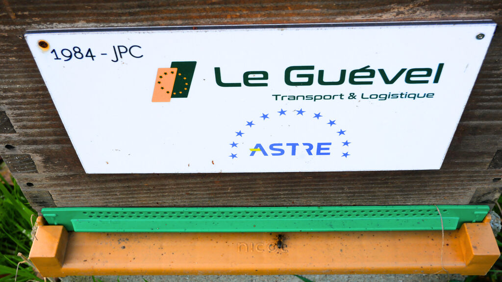 La ruche Astre - Le Guevel
