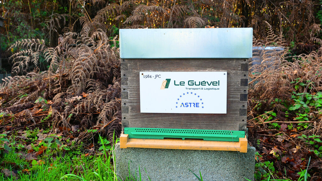 La ruche Astre - Le Guevel