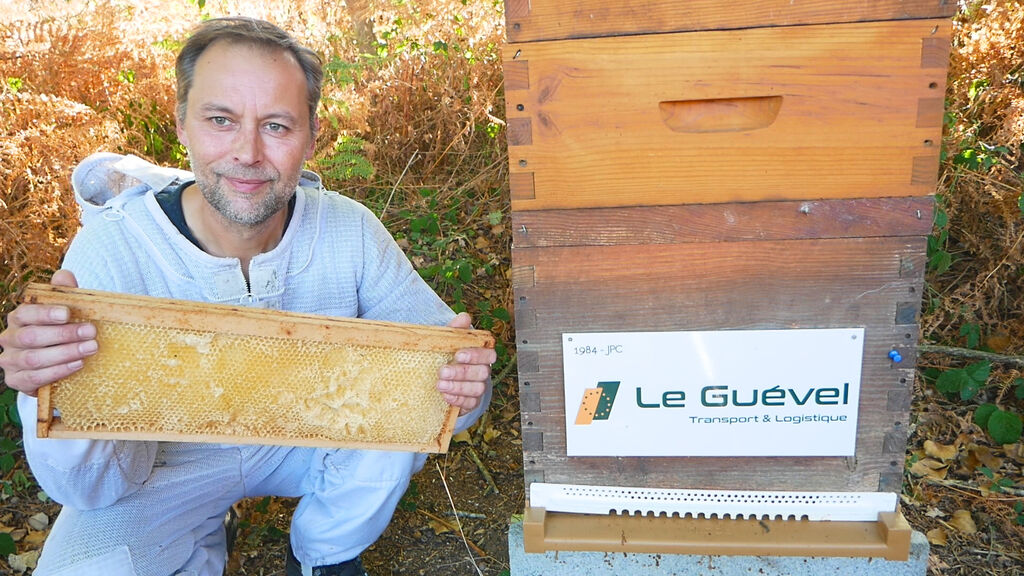 La ruche Astre - Le Guevel