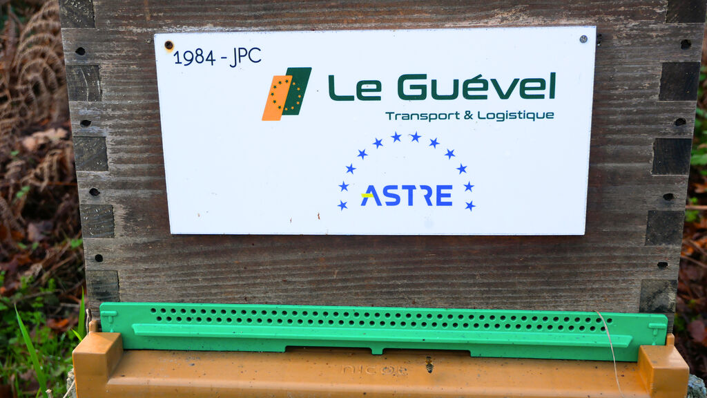 La ruche Astre - Le Guevel