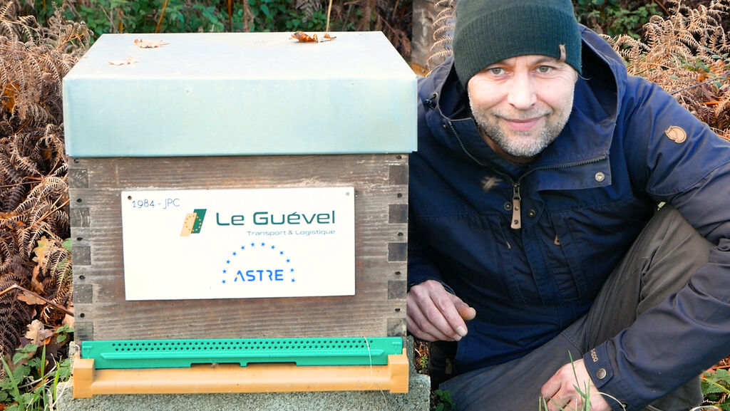 La ruche Astre - Le Guevel