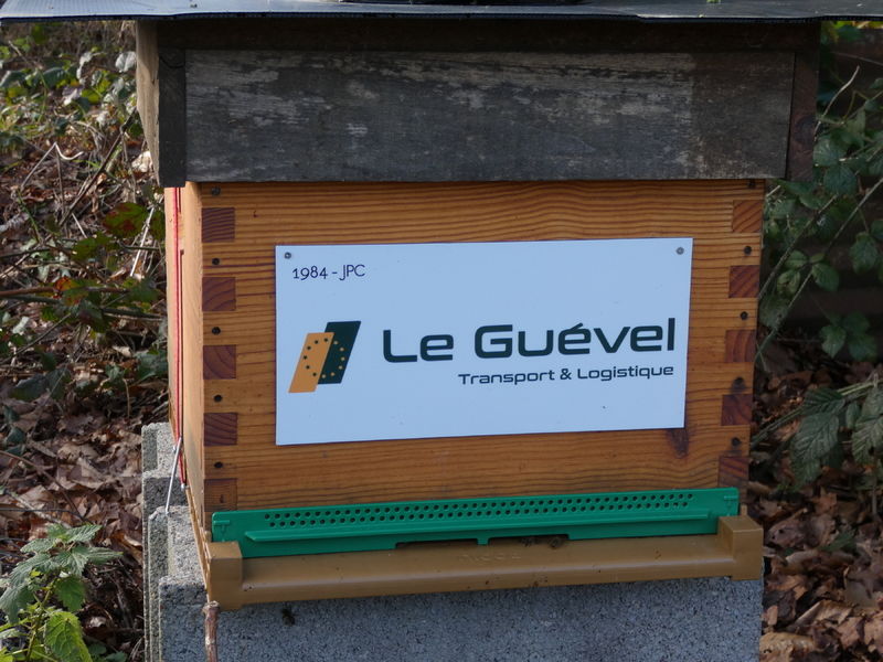 La ruche Astre - Le Guevel