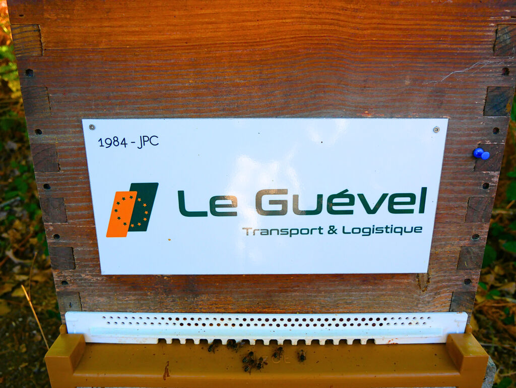 La ruche Astre - Le Guevel