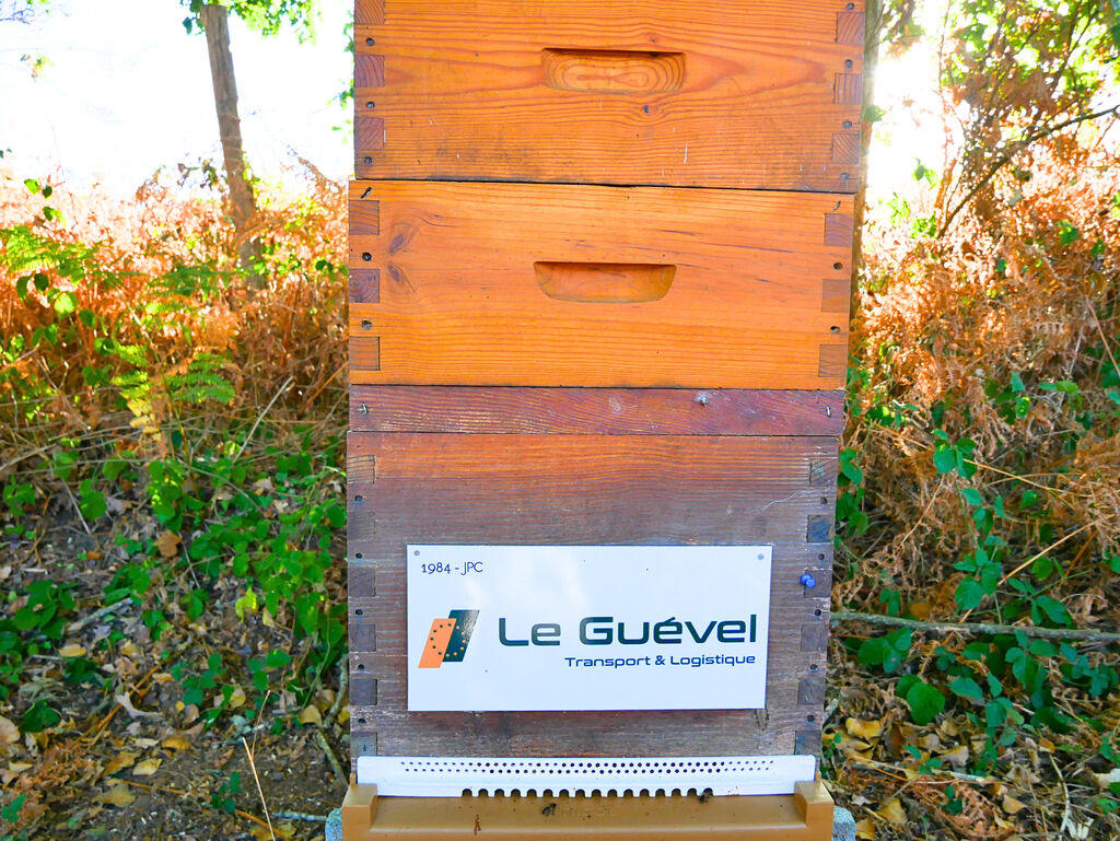 La ruche Astre - Le Guevel