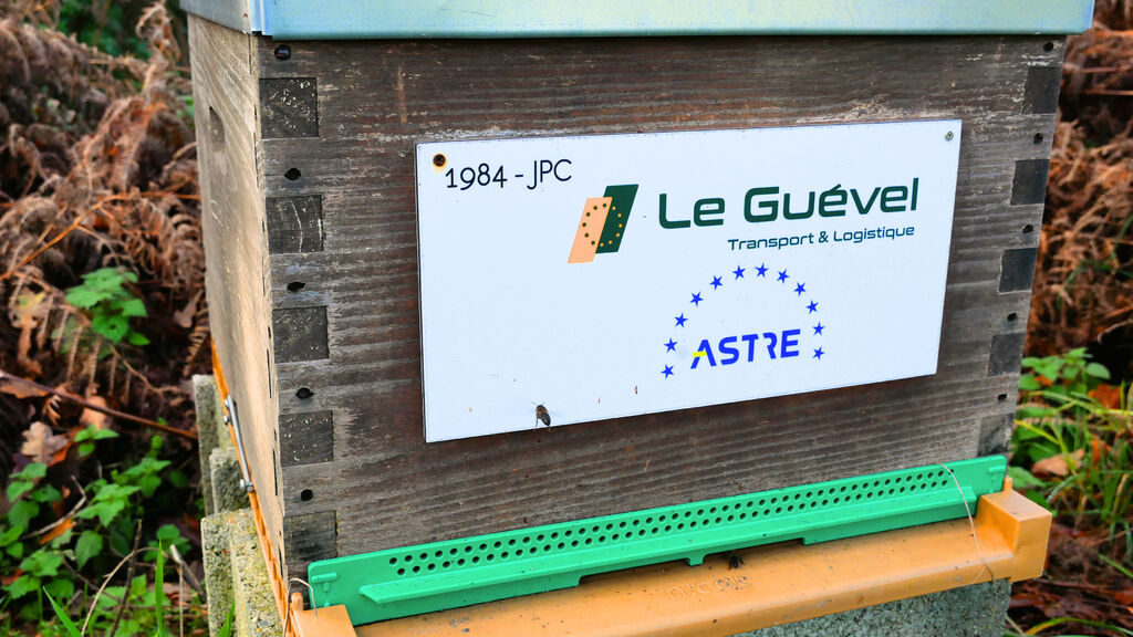 La ruche Astre - Le Guevel