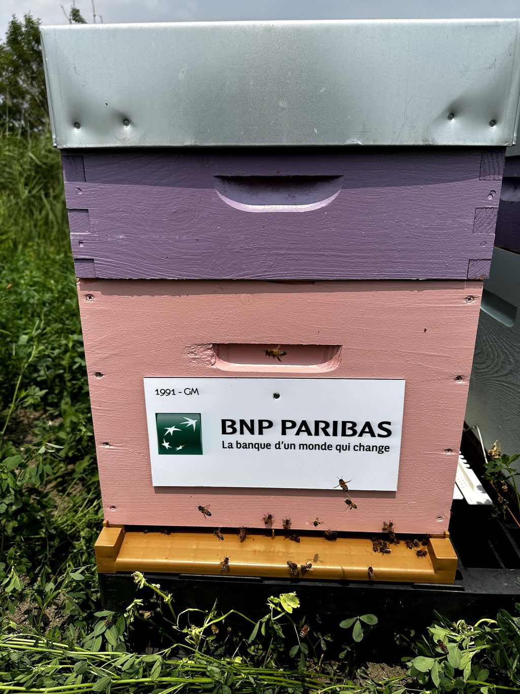 La ruche BNP-PARIBAS