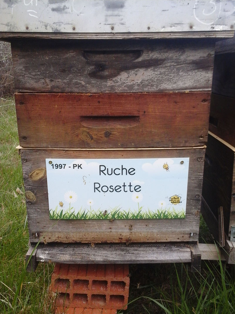 La ruche