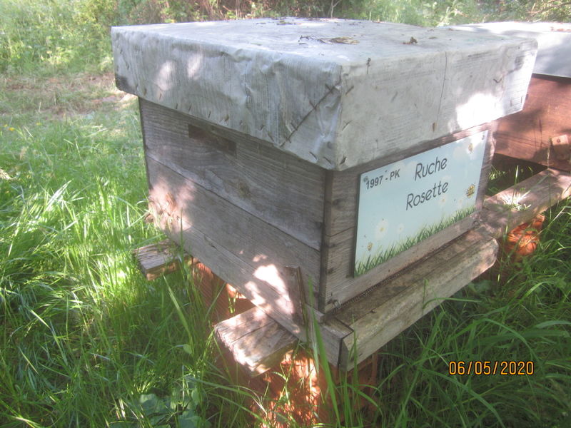 La ruche Rosette