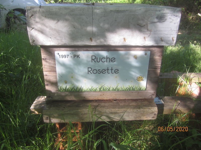La ruche Rosette