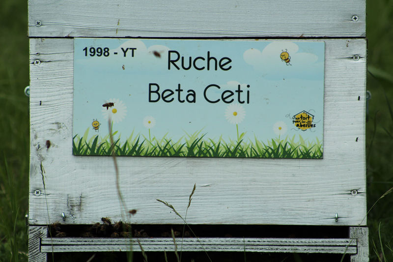 La ruche Beta Ceti