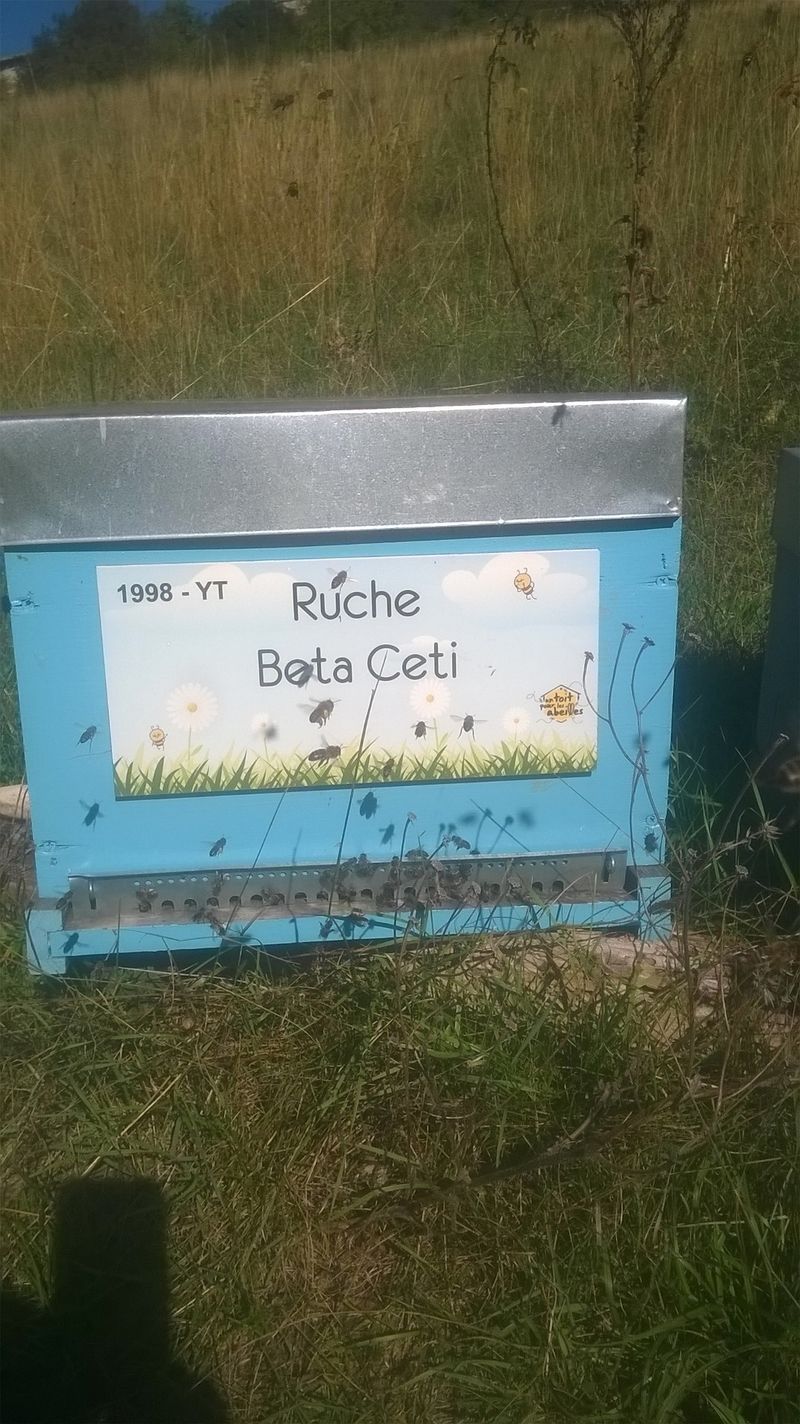 La ruche