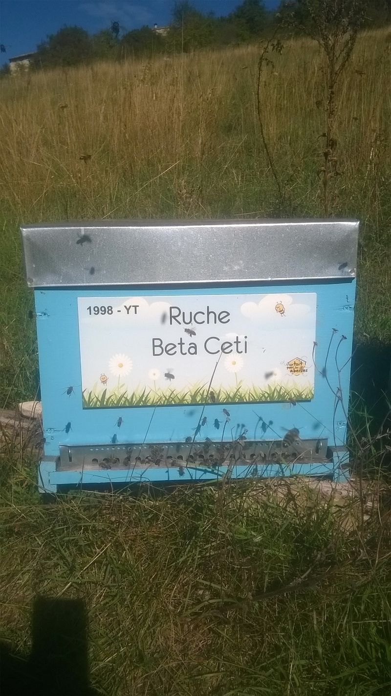 La ruche Beta Ceti