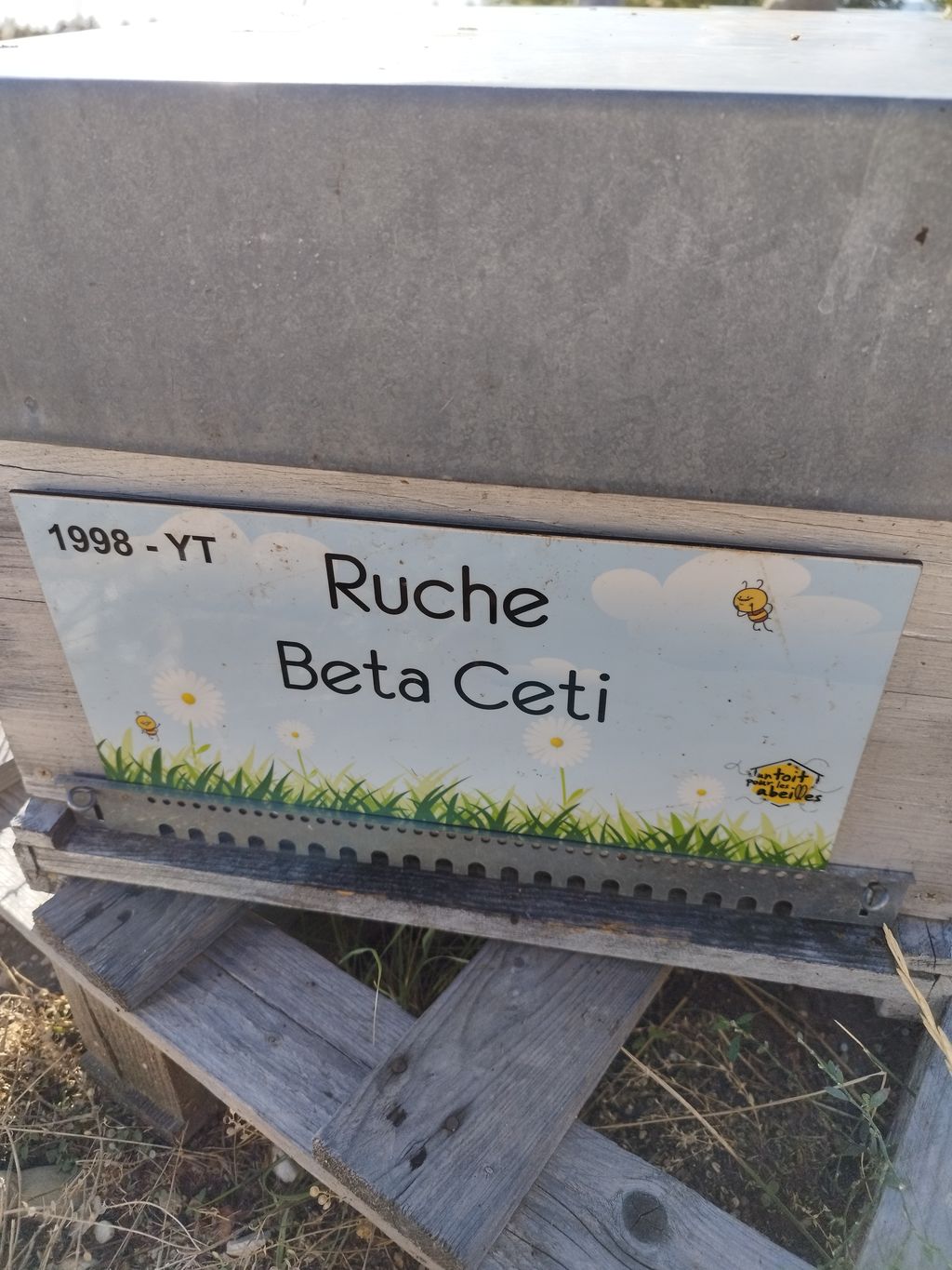 La ruche Beta Ceti