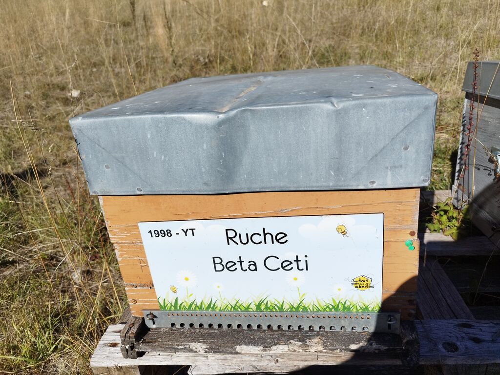 La ruche Beta Ceti