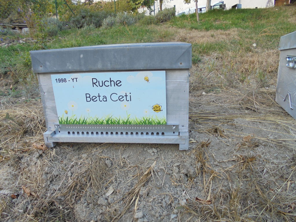 La ruche Beta Ceti