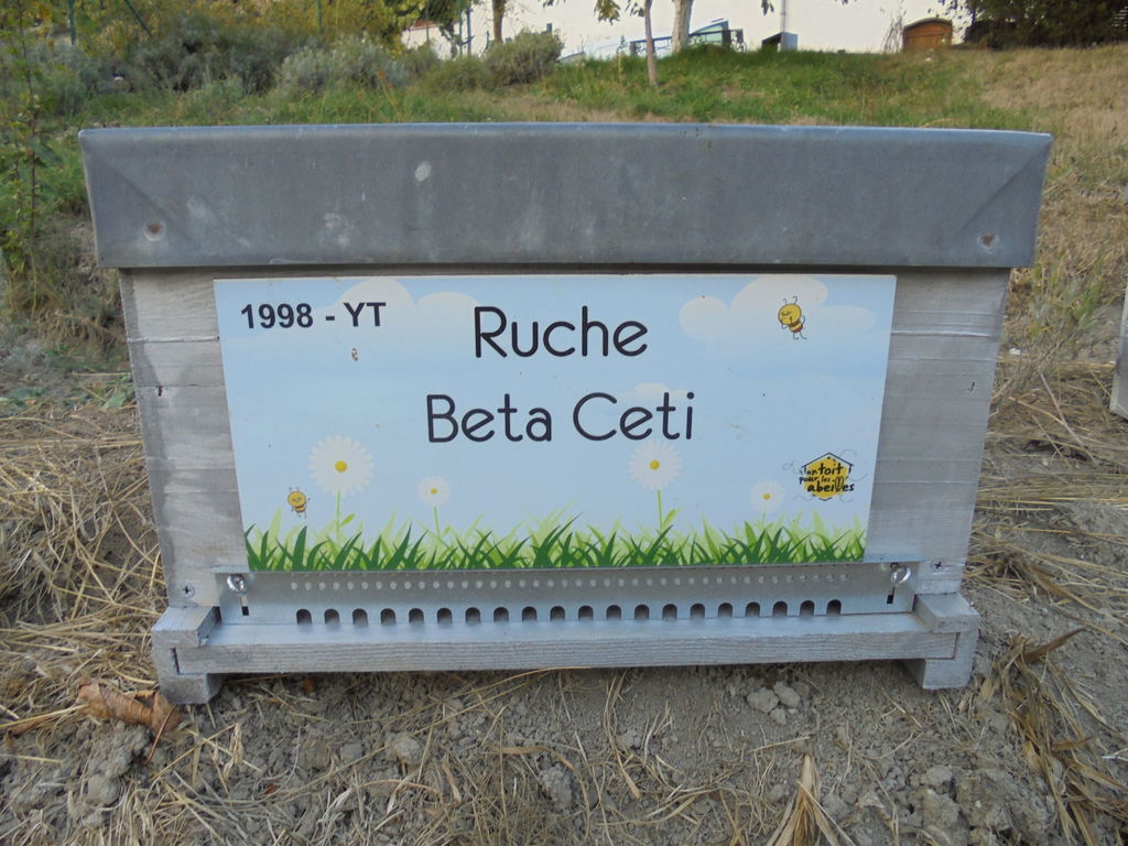 La ruche Beta Ceti