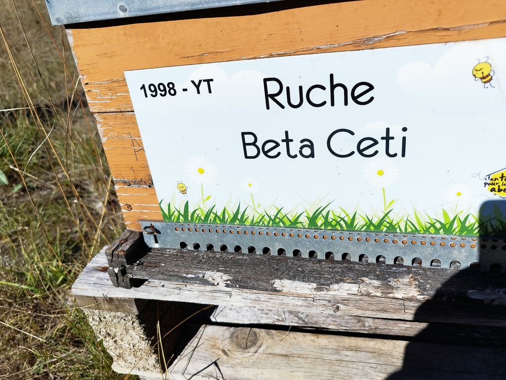 La ruche Beta Ceti