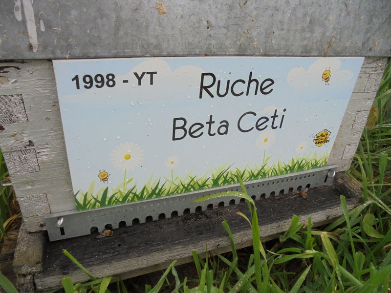 La ruche Beta Ceti