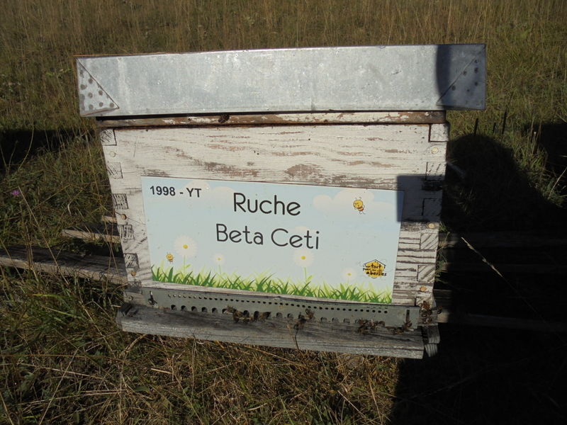 La ruche Beta Ceti