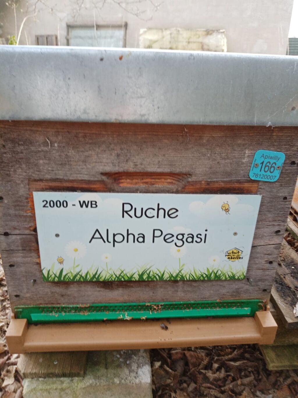 La ruche Alpha Pegasi