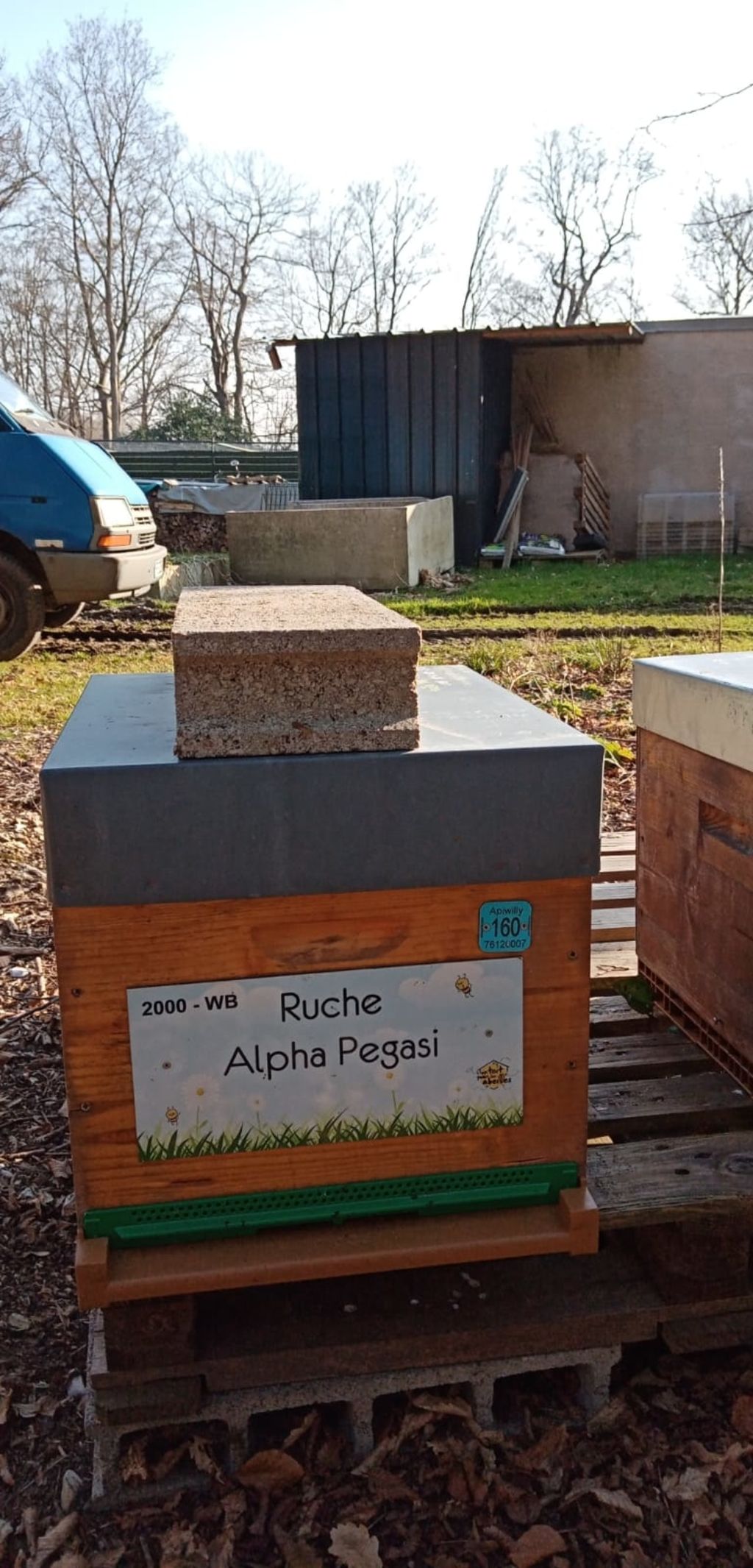 La ruche Alpha Pegasi