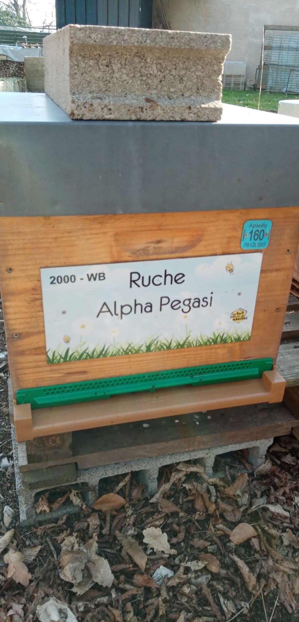 La ruche Alpha Pegasi