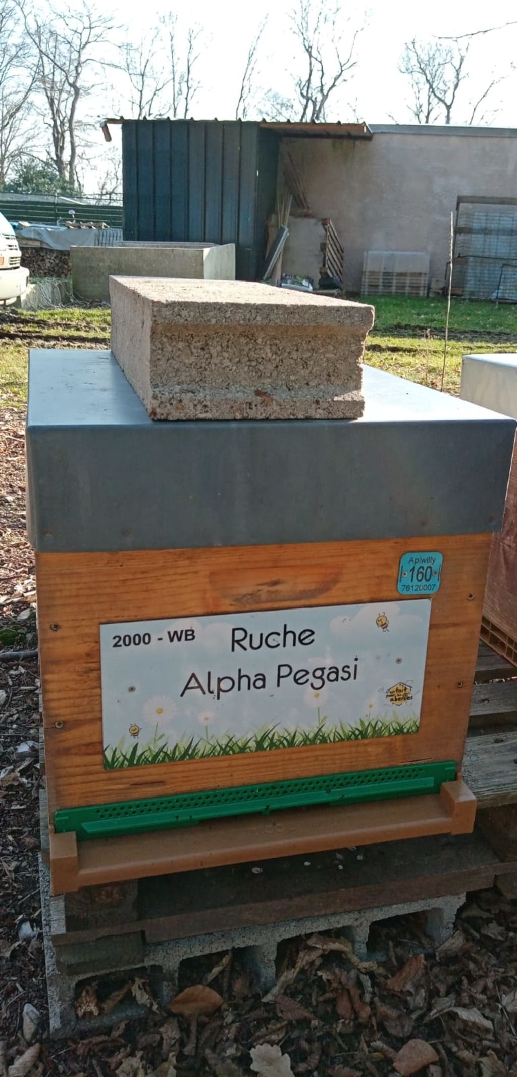 La ruche Alpha Pegasi