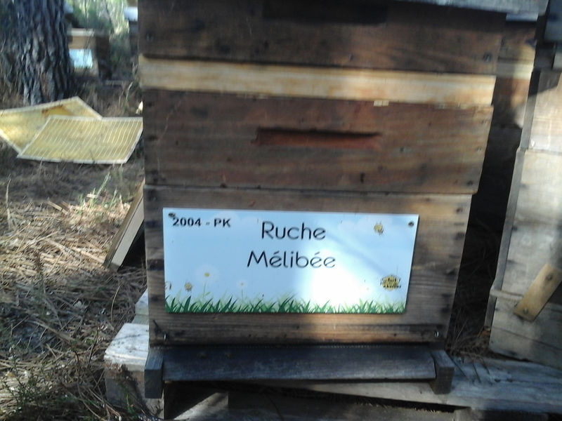 La ruche Mélibée
