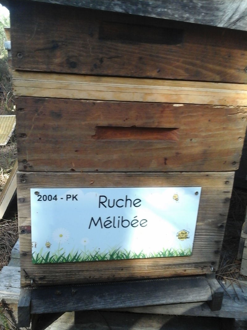 La ruche Mélibée