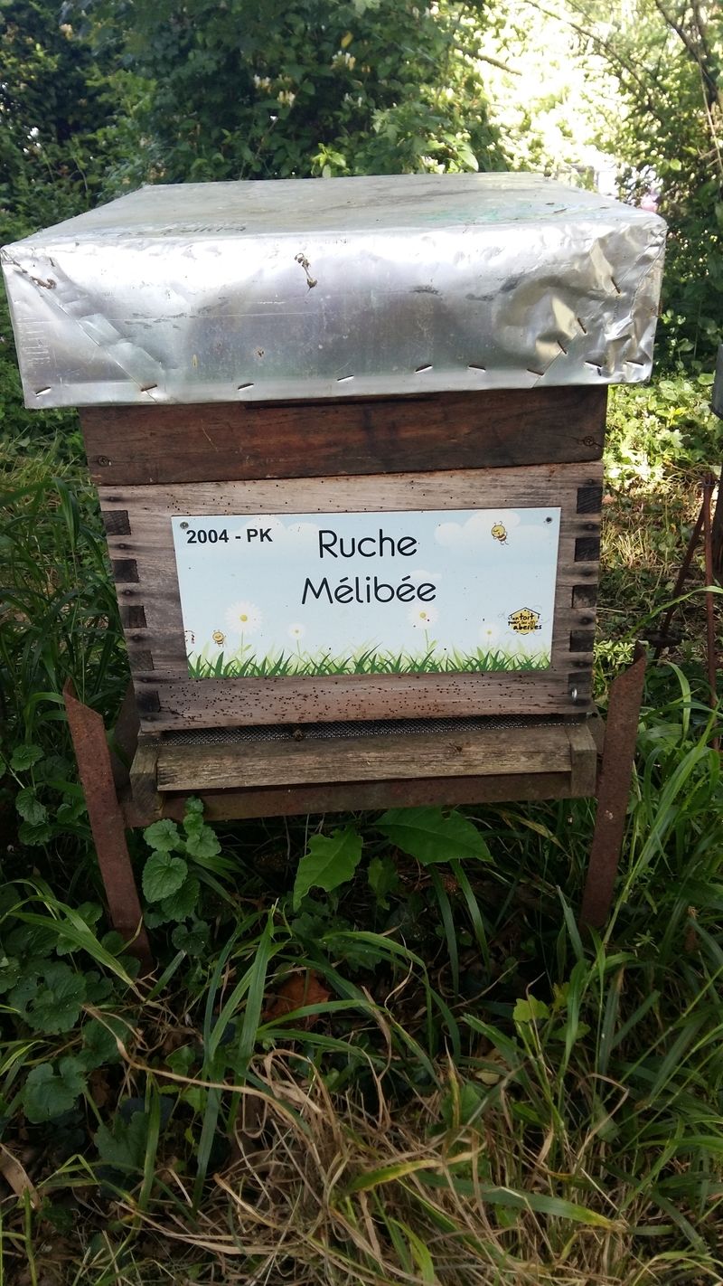 La ruche Mélibée