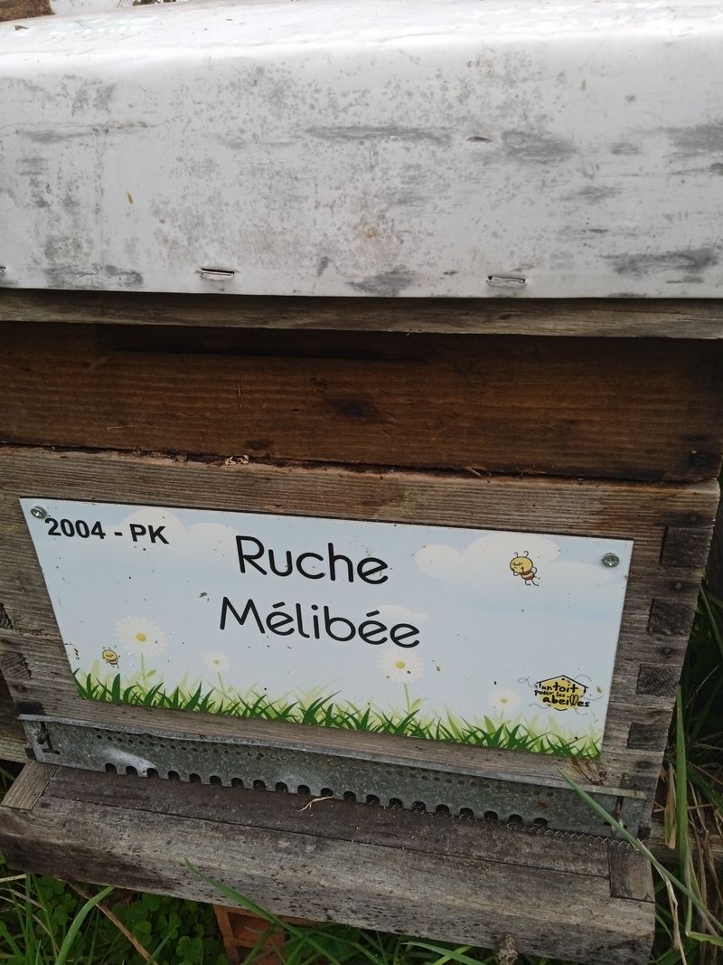 La ruche Mélibée