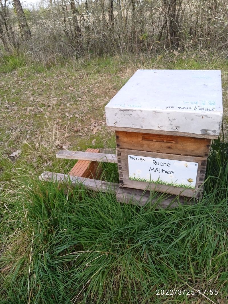 La ruche Mélibée