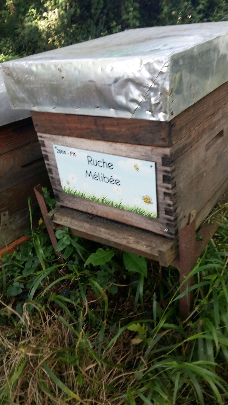 La ruche Mélibée