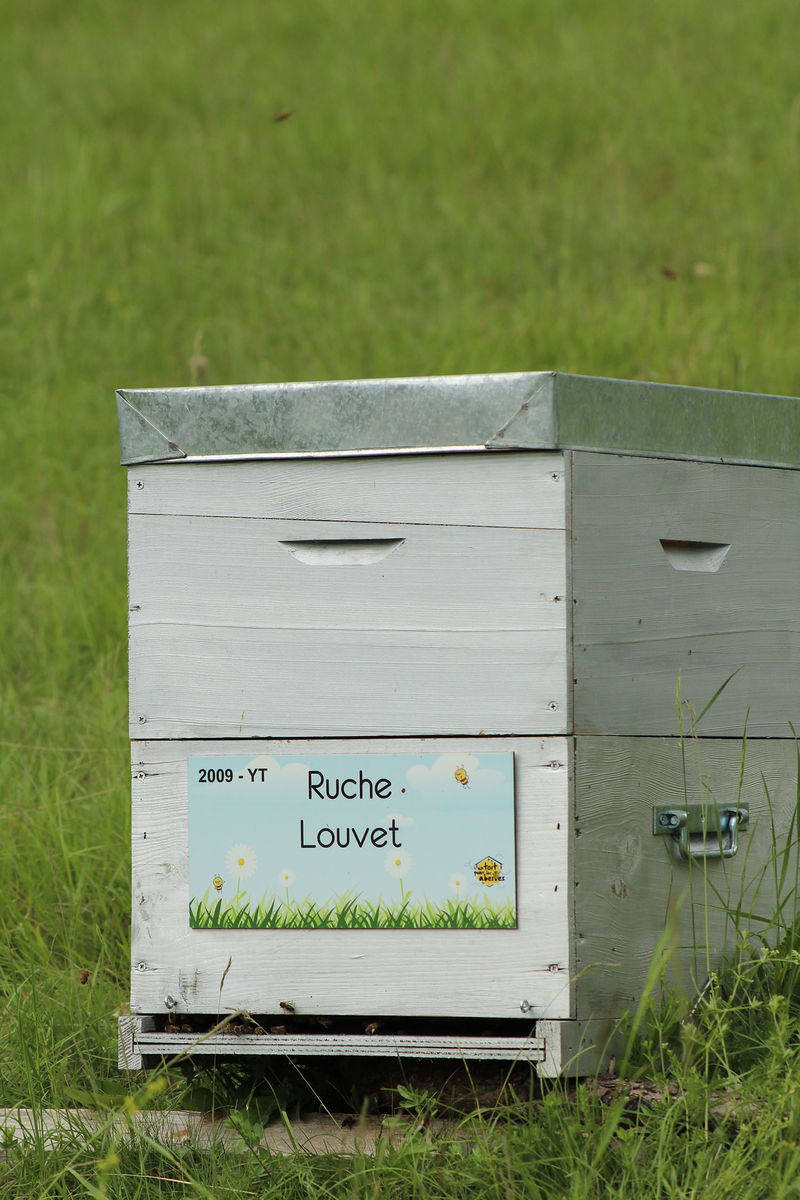La ruche Louvet