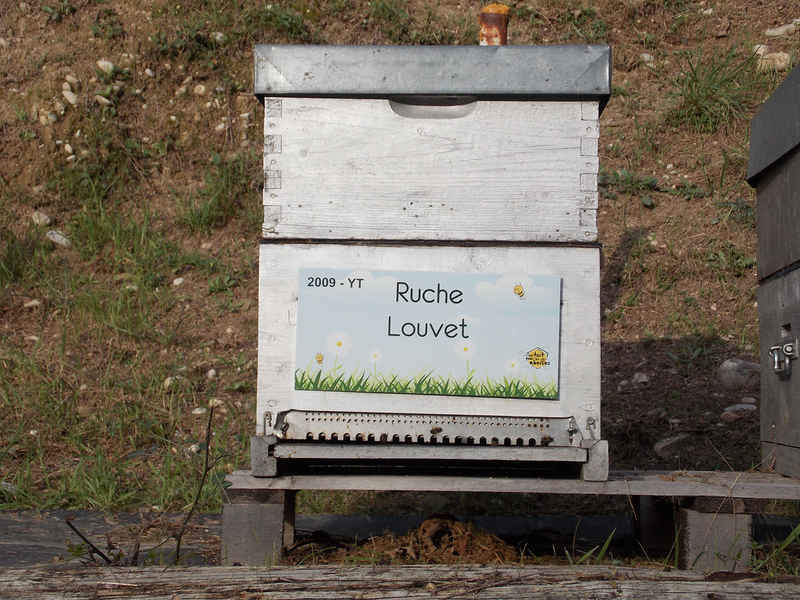 La ruche