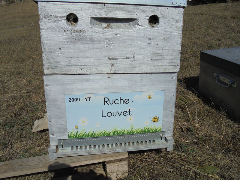 La ruche Louvet